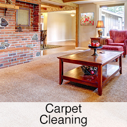 carpet cleaning link